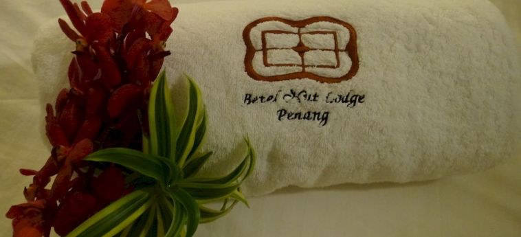 Hotel Betel Nut Lodge:  PENANG