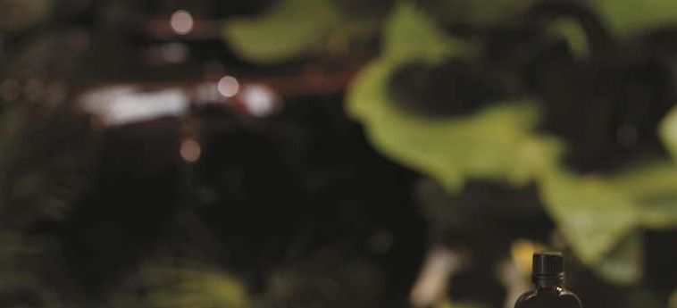 Hotel Shangri-La's Rasa Sayang Resort And Spa Penang : Photo 