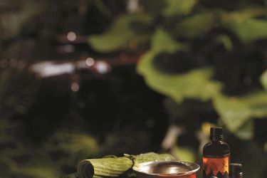 Hotel Shangri-La's Rasa Sayang Resort And Spa Penang: Photo 