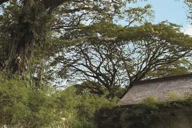 Hotel Shangri-La's Rasa Sayang Resort And Spa Penang: Photo 