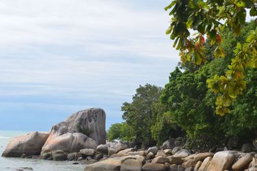 Hotel Shangri-La's Rasa Sayang Resort And Spa Penang: Photo 