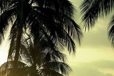 Hotel Shangri-La's Rasa Sayang Resort And Spa Penang: Photo 