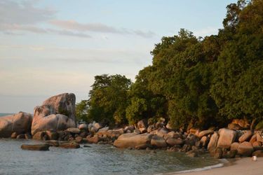 Hotel Shangri-La's Rasa Sayang Resort And Spa Penang: Photo 
