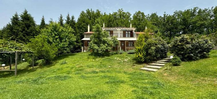Hotel Kedros Halkidiki Penisola Calcidica: Foto 