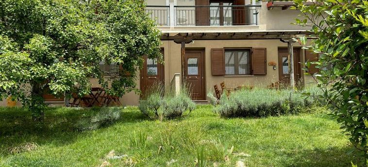 Hotel Kedros Halkidiki Penisola Calcidica: Foto 