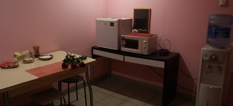 Hotel Snegiri Perm : Photo 