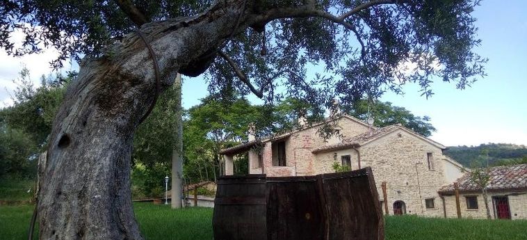Hotel La Collina Degli Ulivi Perouse : Photo 