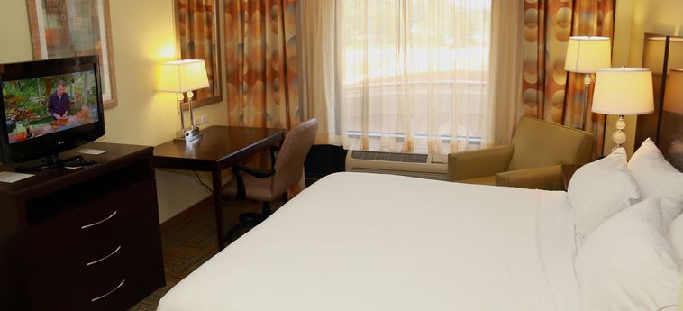 Hotel Holiday Inn Express & Suites Perry:  PERRY (FL)