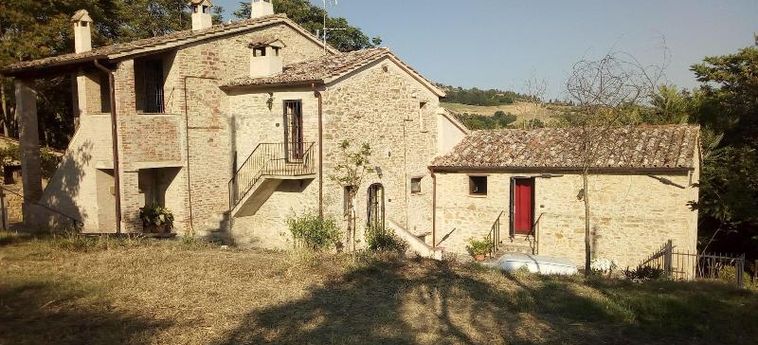 Hotel La Collina Degli Ulivi Perugia: Foto 