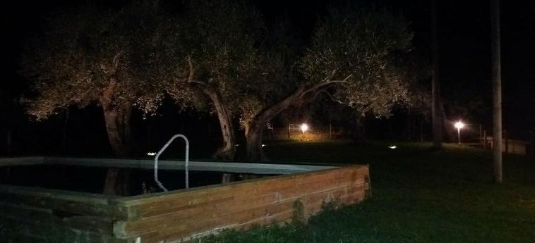 Hotel La Collina Degli Ulivi Perugia: Foto 