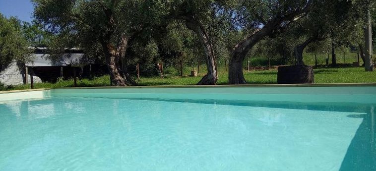 Hotel La Collina Degli Ulivi Perugia: Foto 