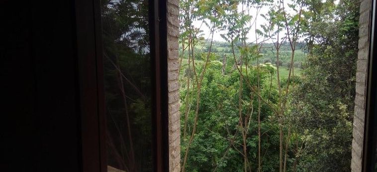 Hotel La Collina Degli Ulivi Perugia: Foto 