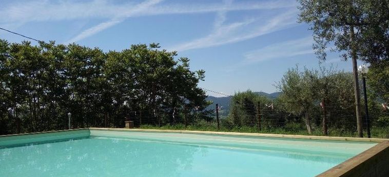 Hotel La Collina Degli Ulivi Perugia: Foto 