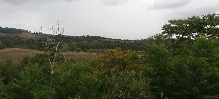 Hotel La Collina Degli Ulivi Perugia: Photo 