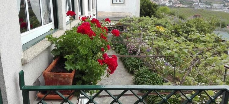 Hotel Quinta Da Travessa Peso Da Regua: Foto 