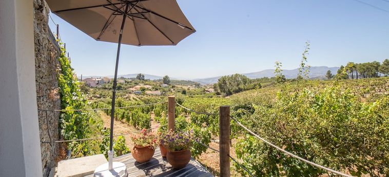 Hotel Quinta Da Estrada Winery Douro Valley Peso Da Regua: Photo 