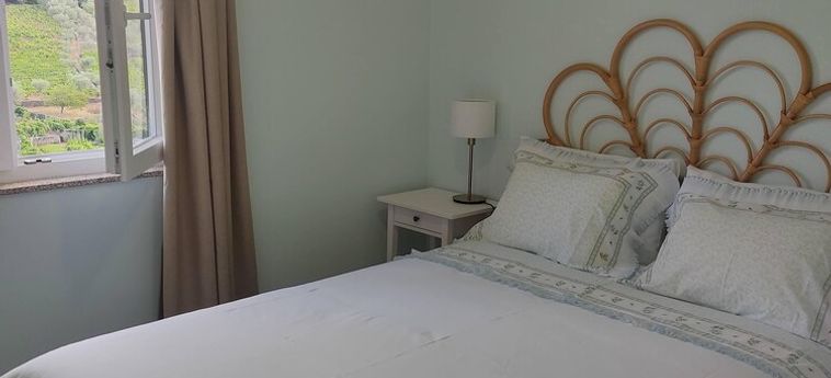 Casa De Vila Seca Peso Da Regua: Foto 