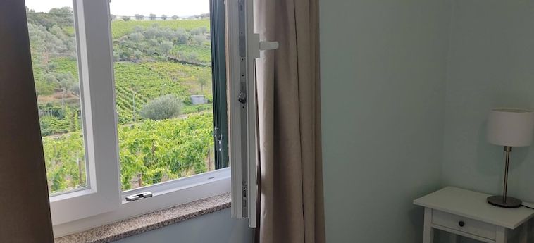 Casa De Vila Seca Peso Da Regua: Foto 