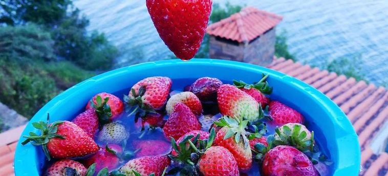 Hotel Kintal Do Douro Peso Da Regua: Foto 