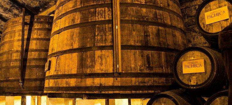 The Wine House Hotel - Quinta Da Pacheca Peso Da Regua: Foto 