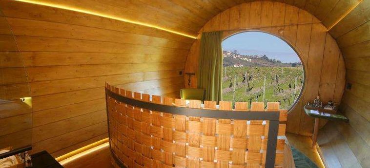The Wine House Hotel - Quinta Da Pacheca Peso Da Regua: Foto 