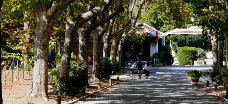 The Wine House Hotel - Quinta Da Pacheca Peso Da Regua: Foto 