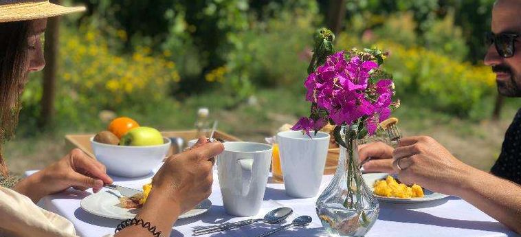 The Wine House Hotel - Quinta Da Pacheca Peso Da Regua: Foto 