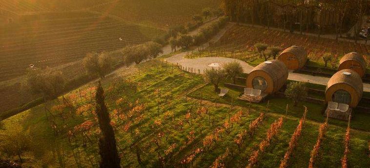 The Wine House Hotel - Quinta Da Pacheca Peso Da Regua: Foto 
