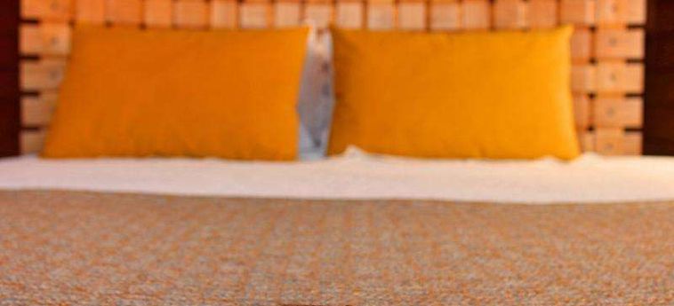The Wine House Hotel - Quinta Da Pacheca Peso Da Regua: Foto 