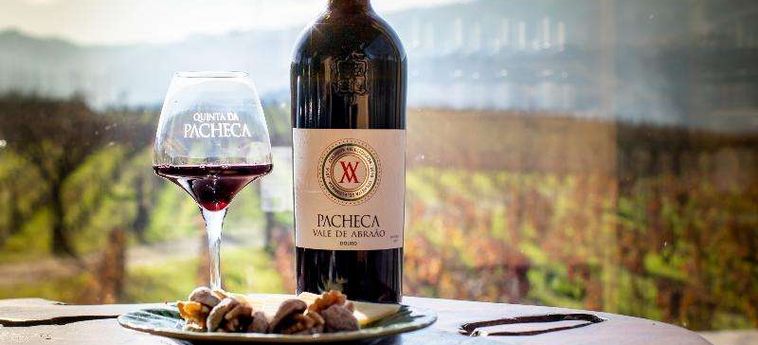 The Wine House Hotel - Quinta Da Pacheca Peso Da Regua: Foto 