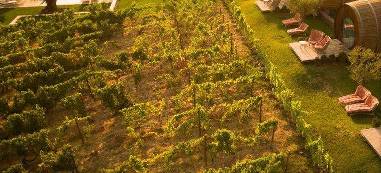 The Wine House Hotel - Quinta Da Pacheca Peso Da Regua: Foto 