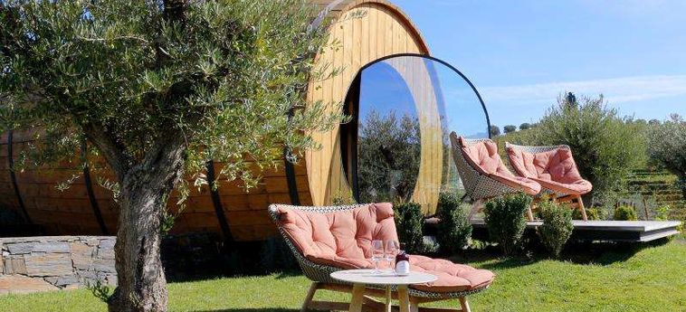The Wine House Hotel - Quinta Da Pacheca Peso Da Regua: Foto 