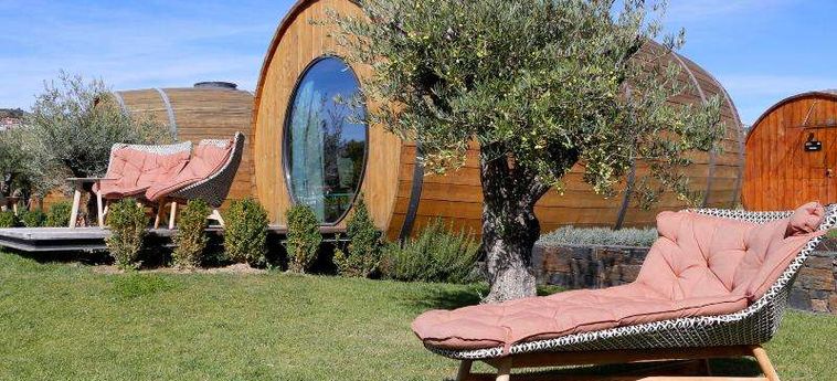 The Wine House Hotel - Quinta Da Pacheca Peso Da Regua: Foto 