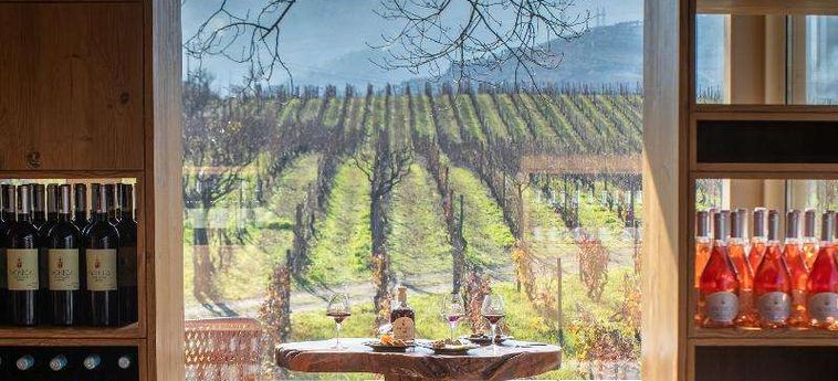The Wine House Hotel - Quinta Da Pacheca Peso Da Regua: Foto 
