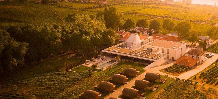 The Wine House Hotel - Quinta Da Pacheca Peso Da Regua: Foto 