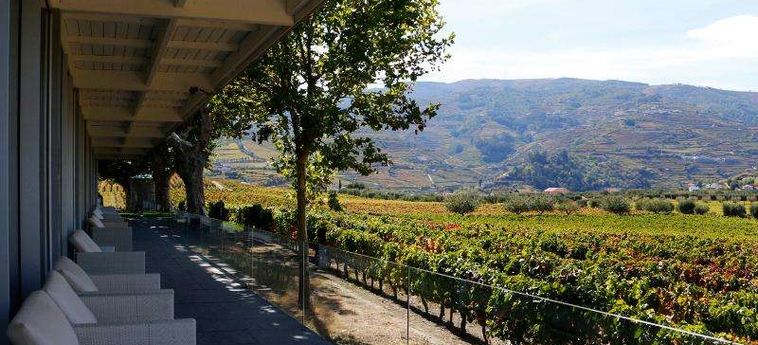 The Wine House Hotel - Quinta Da Pacheca Peso Da Regua: Foto 