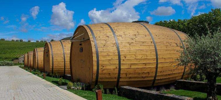 The Wine House Hotel - Quinta Da Pacheca Peso Da Regua: Foto 