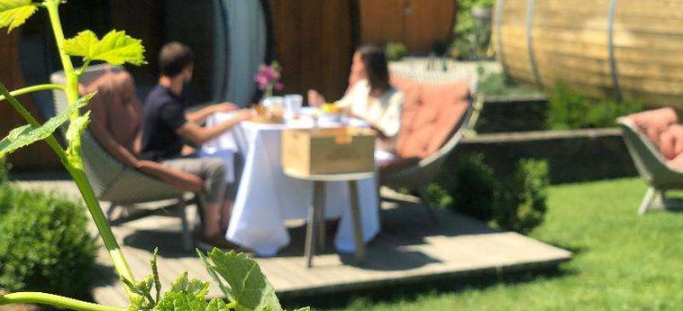 The Wine House Hotel - Quinta Da Pacheca Peso Da Regua: Foto 