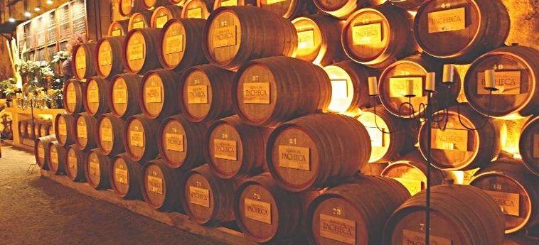 The Wine House Hotel - Quinta Da Pacheca Peso Da Regua : Photo 