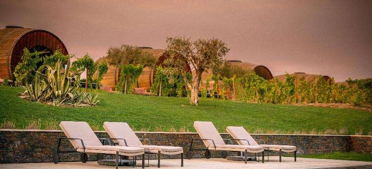 The Wine House Hotel - Quinta Da Pacheca Peso Da Regua: Photo 