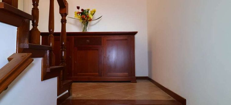 Oliveira Douro House Peso Da Regua: Foto 