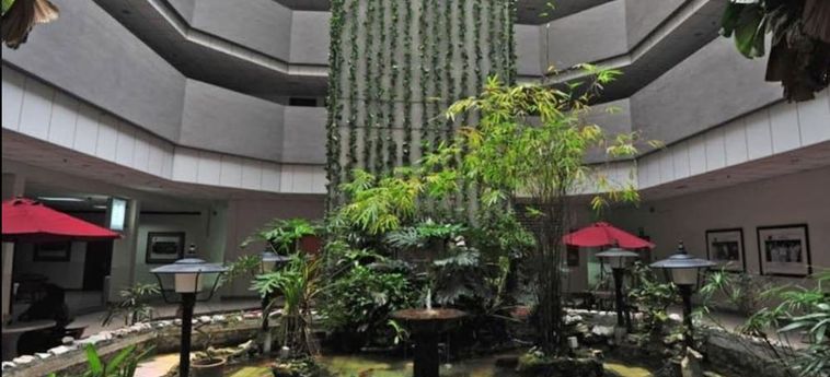 Th Hotel Kelana Jaya Petaling Jaya: Foto 