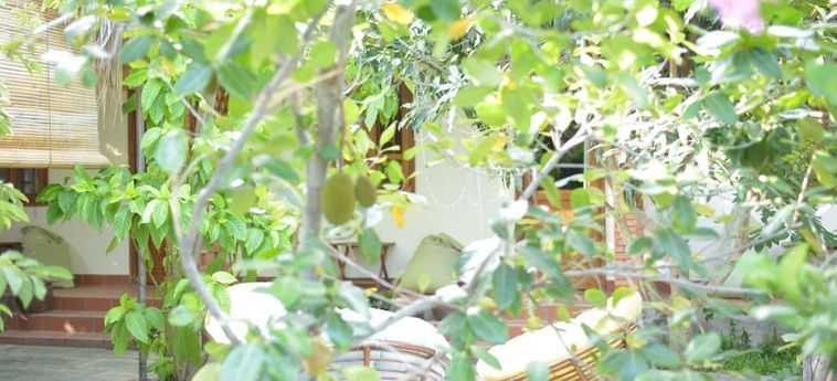 Hotel Alyssa's Garden Home:  PHAN THIET