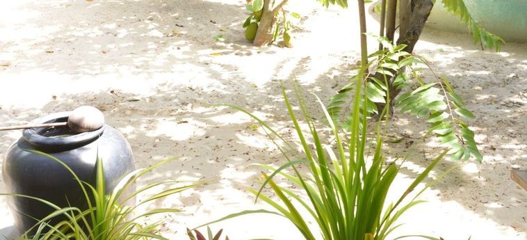 Hotel Alyssa's Garden Home:  PHAN THIET