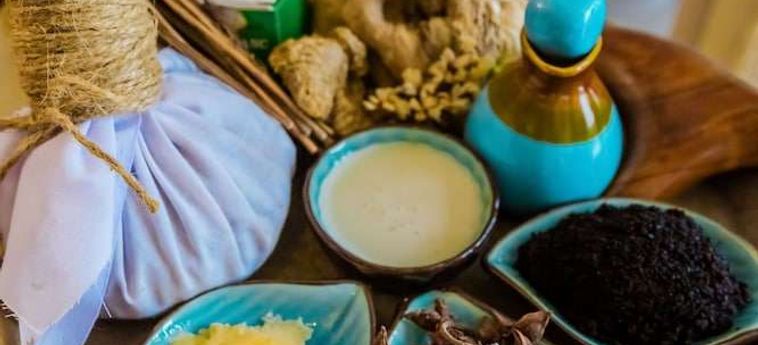 Vipol Mui Ne Hotel &Amp; Spa Phan Thiet : Photo 