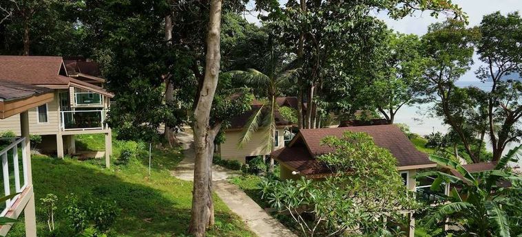 Hotel Phi Phi Bayview Resort Phi Phi Island: Foto 