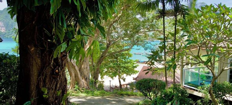Hotel Phi Phi Bayview Resort Phi Phi Island: Foto 