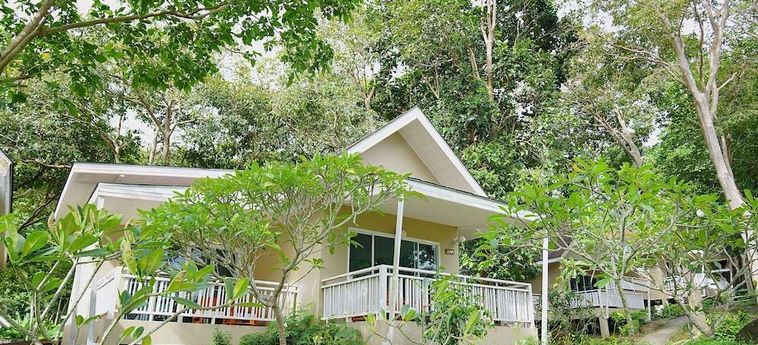Hotel Phi Phi Bayview Resort Phi Phi Island: Photo 