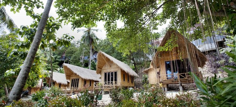 Hotel The Cove Phi Phi Phi Phi Island: Foto 