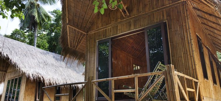 Hotel The Cove Phi Phi Phi Phi Island : Photo 